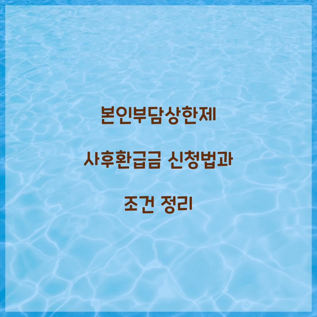 본인부담상한제 사후환급금