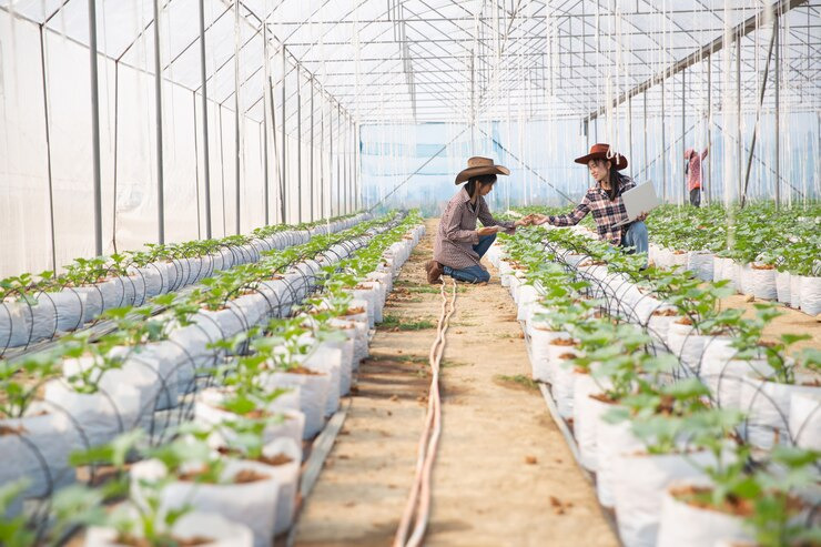 농업경영체 등록 조건