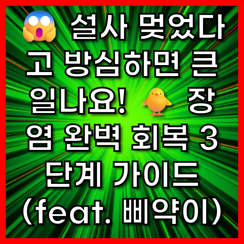 설사 멎었다고 방심하면 큰일나요! 🐥 장염 완벽 회복 3단계 가이드 (feat. 삐약이)