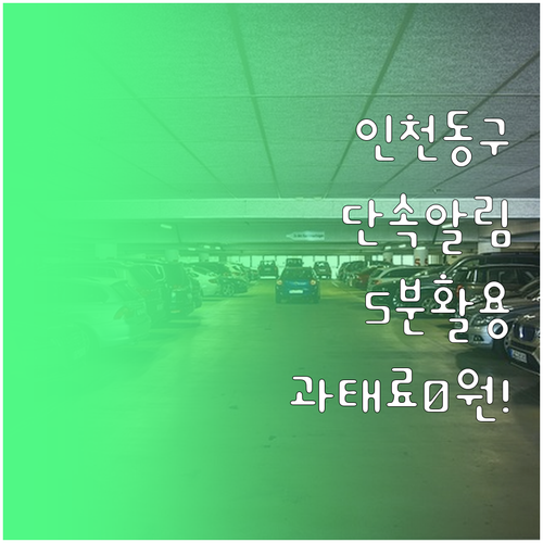 인천 동구 주정차 단속 문자 서비스 ..