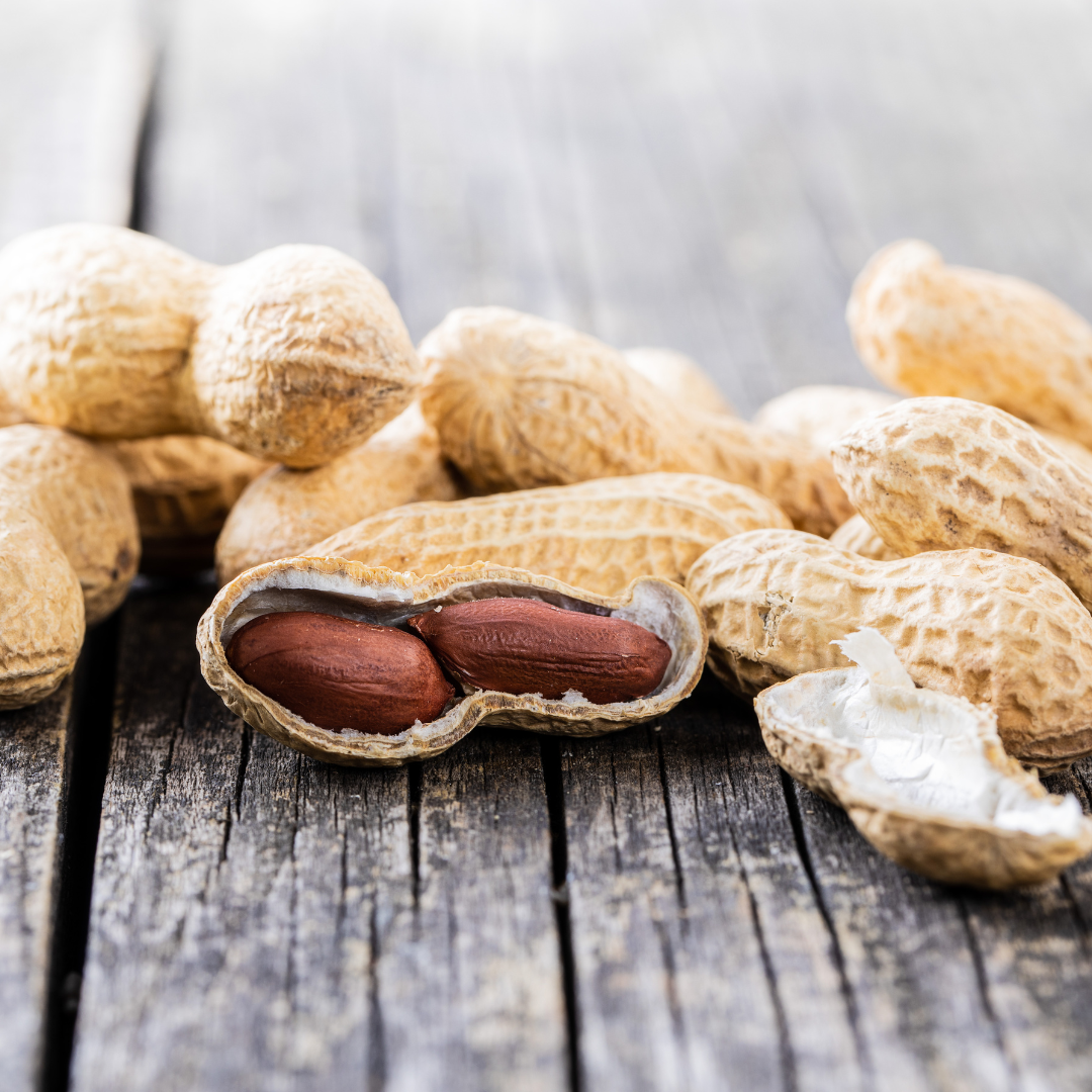 볶은땅콩 효능 칼로리 하루 섭취량 보관 방법