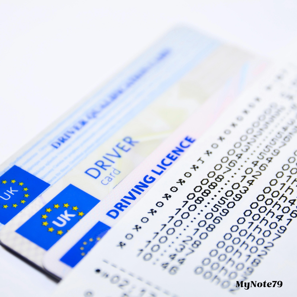 적성검사 및 면허갱신 안내