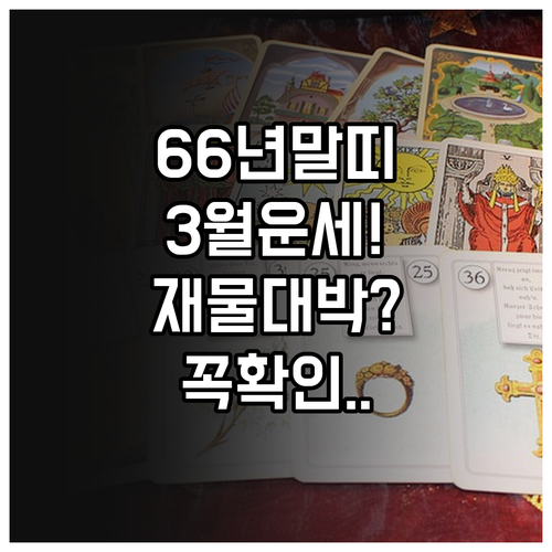 2026년 3월 1966년생 말띠 운..