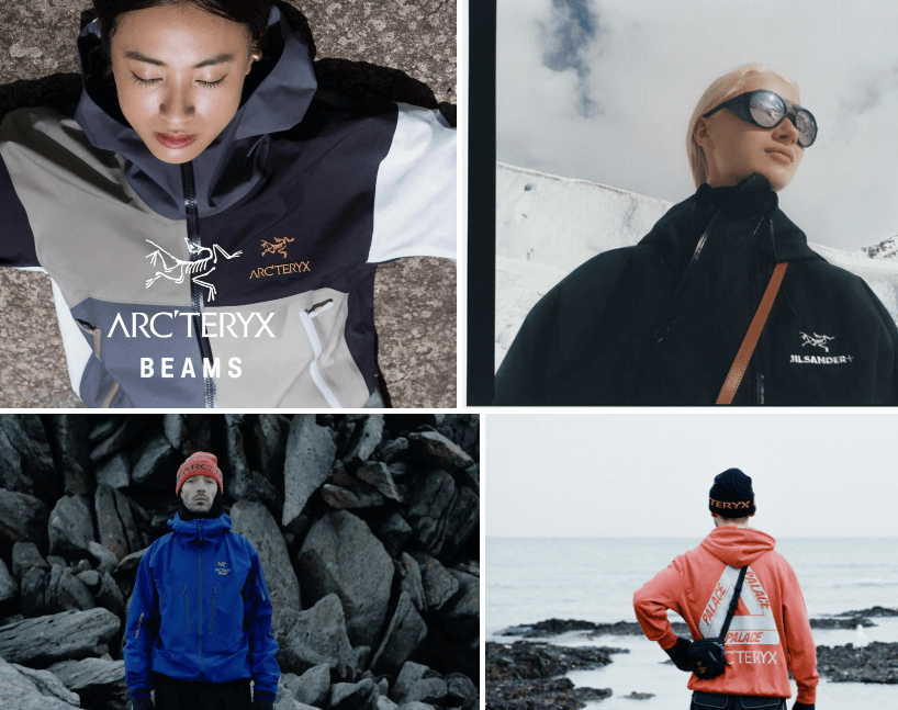 아크테릭스_출처