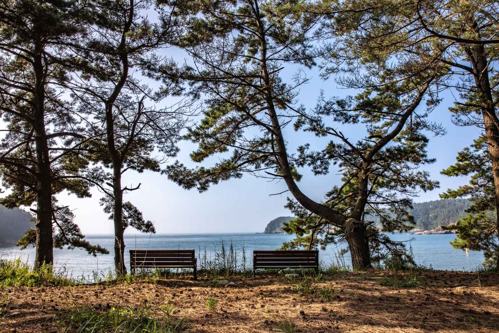 태안 구름포해수욕장