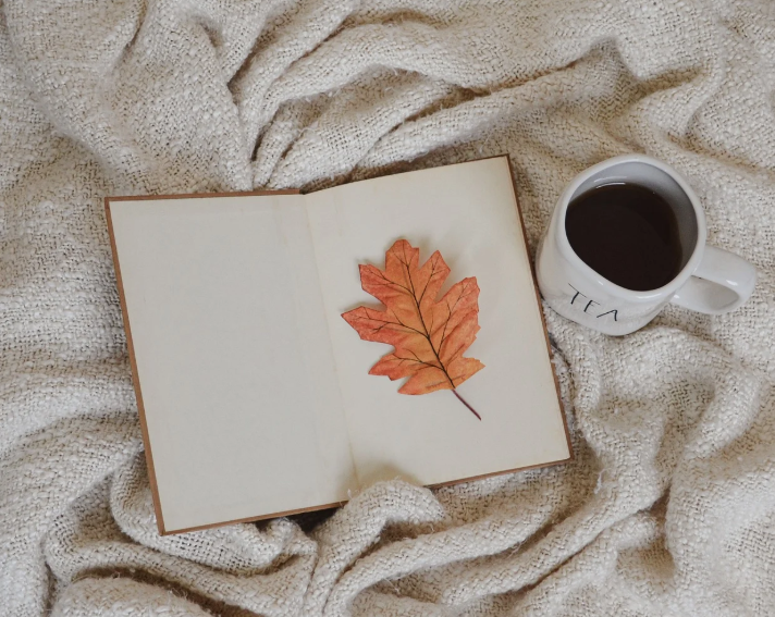 가을의 감성을 담은 플레이리스트: 낭만과 그리움