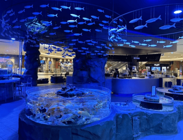 고양-미디어아트