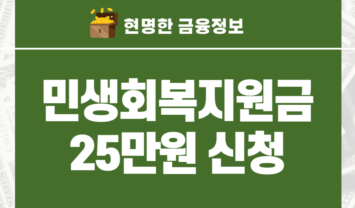 민생회복지원금 25만원 신청