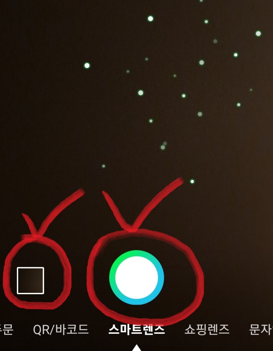 스마트 렌즈로 꽃 사진 찍기