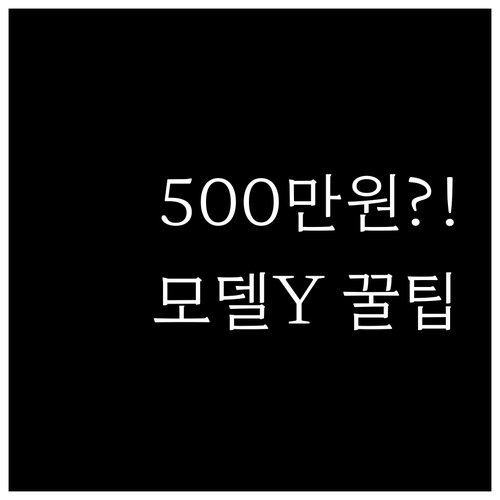 2026년 모델Y L 보조금 실수령액..