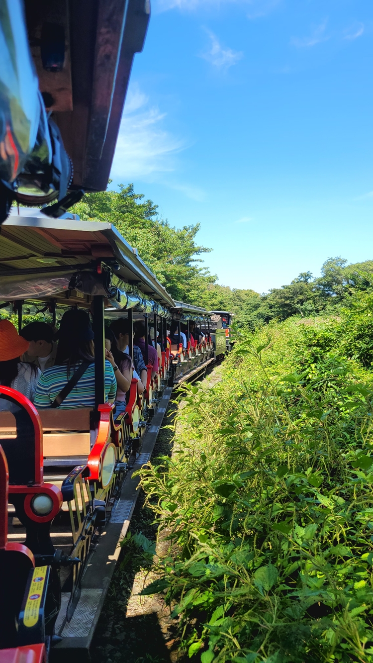 제주가족여행-곶자왈-기차여행-에코랜드 테마파크