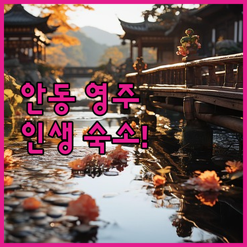 안동 영주 여행 숙소 베스트 5 실제..