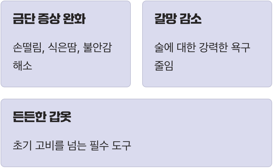 첫 번째 기둥, '약물치료' (갈망과의 싸움)