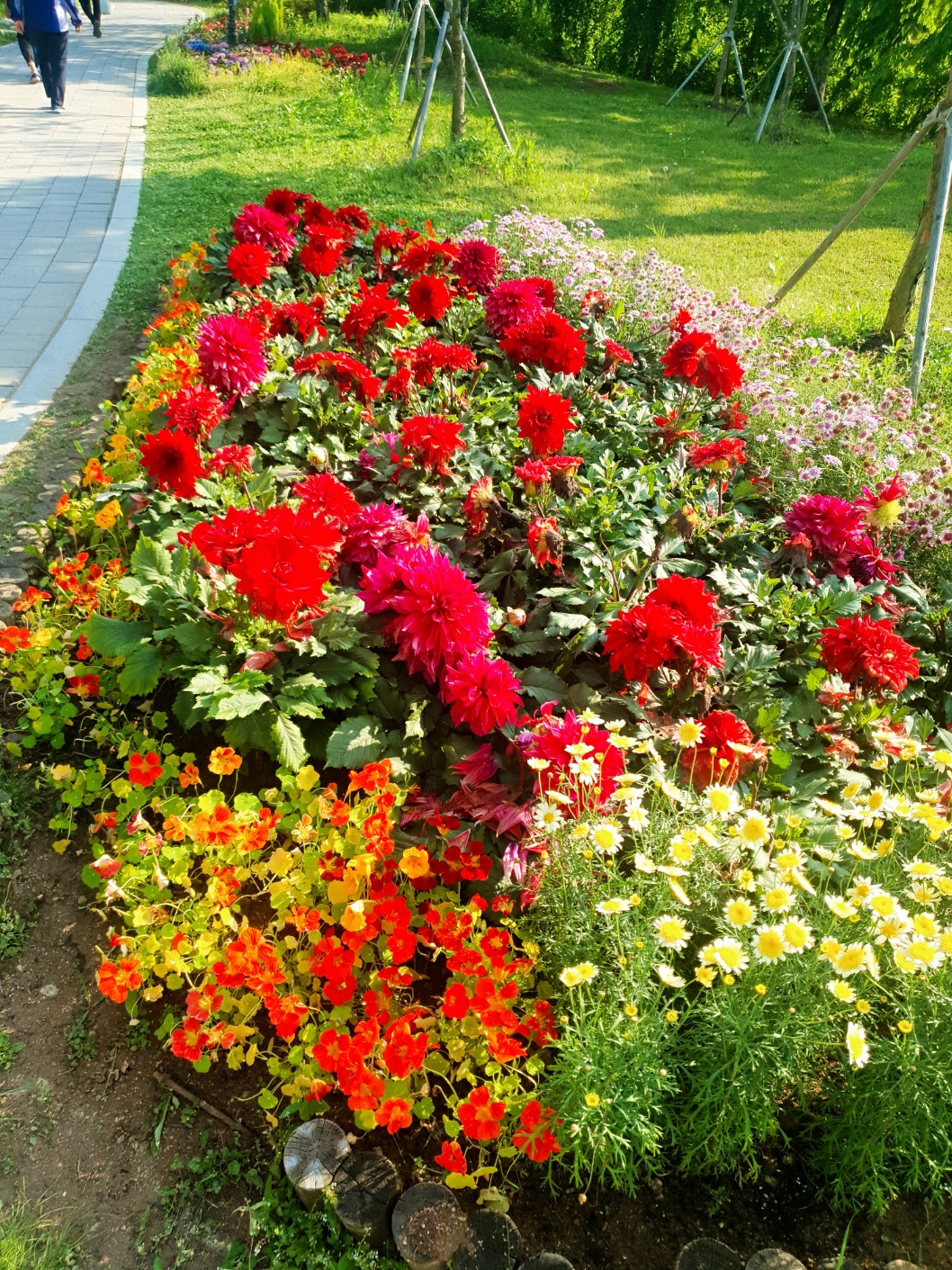 분당 율동공원 산책로 숨은 포토존