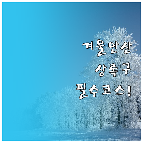 겨울 안산 상록구 나들이 코스 정리 ..