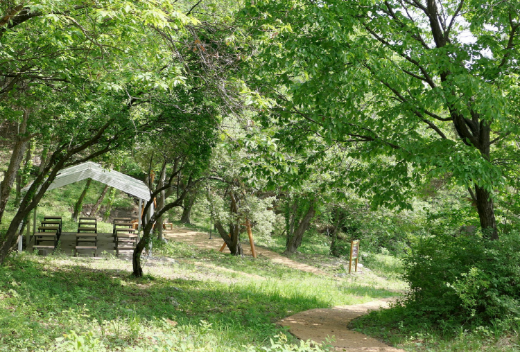 가야산 생태탐방원 전경