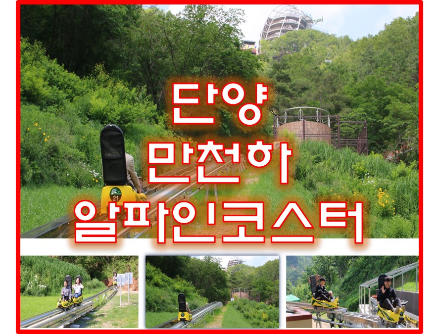 단양 만천하 알파인코스터