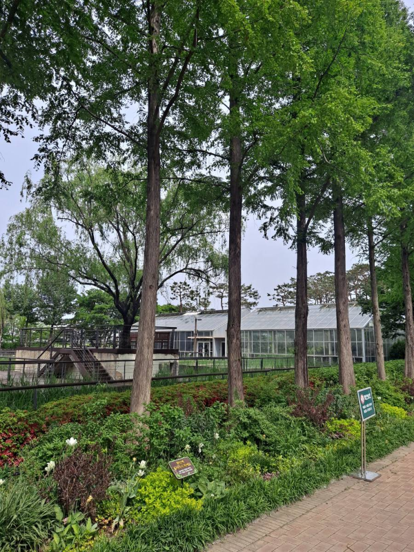 선유도 온실