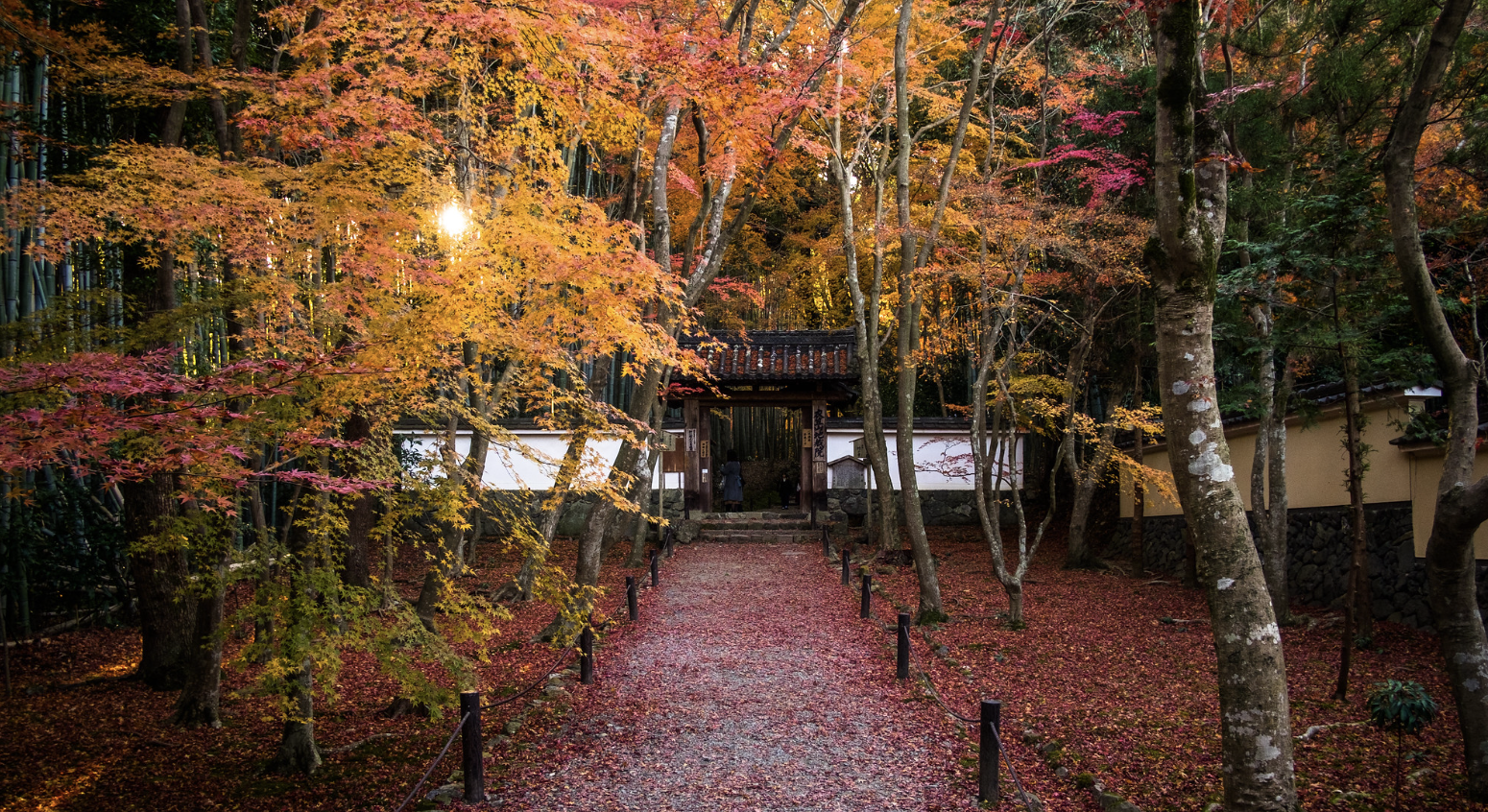 2023 오사카 & 교토 단풍 시기 명소 가볼만한곳 BEST 05