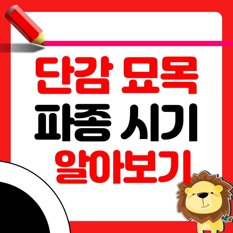 단감 파종 시기와 거름 주는 방법 재배 가이드 1