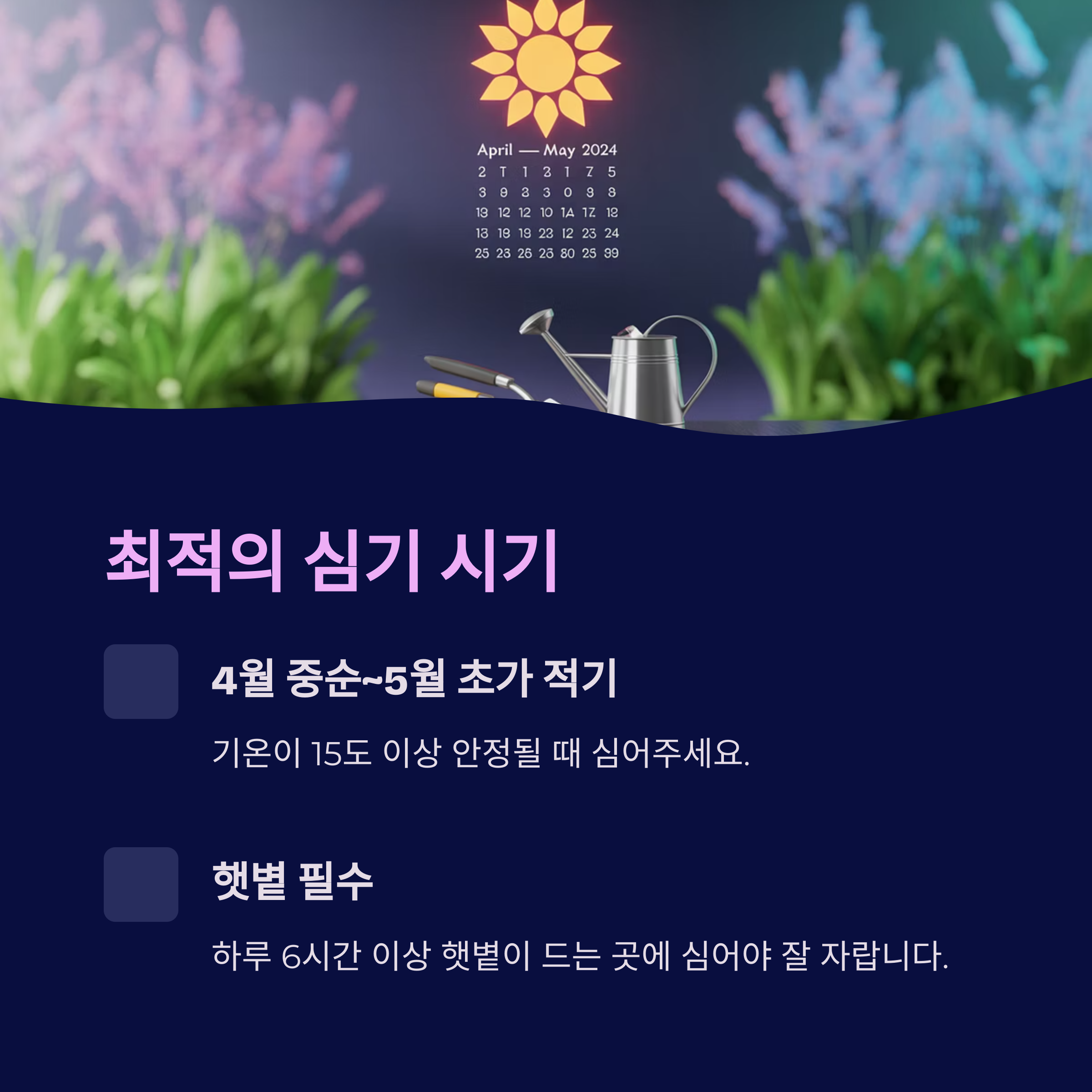 모종 심는 시기 &ndash; 4월 중순에서 5월 초가 적기예요