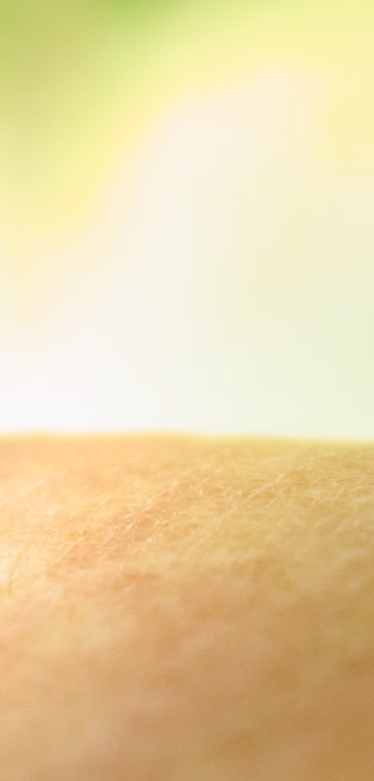 모기 잘물리는 혈액형