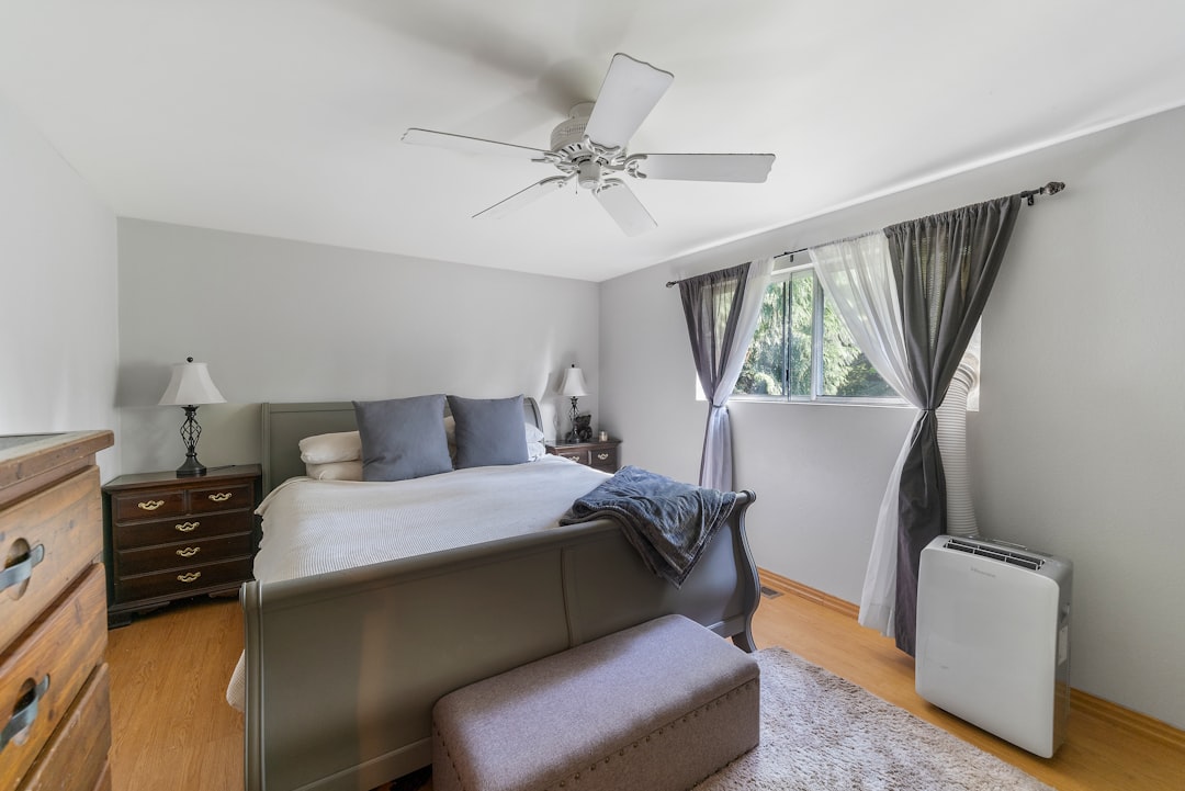 Ceiling fan