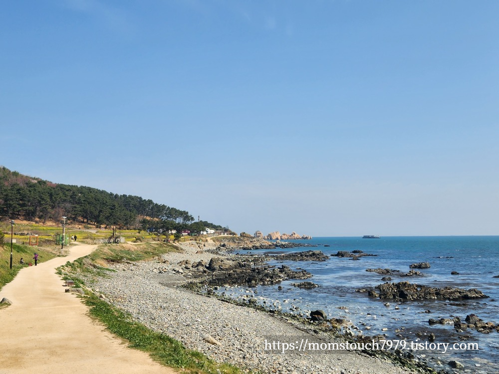 슬도 유채꽃 위치