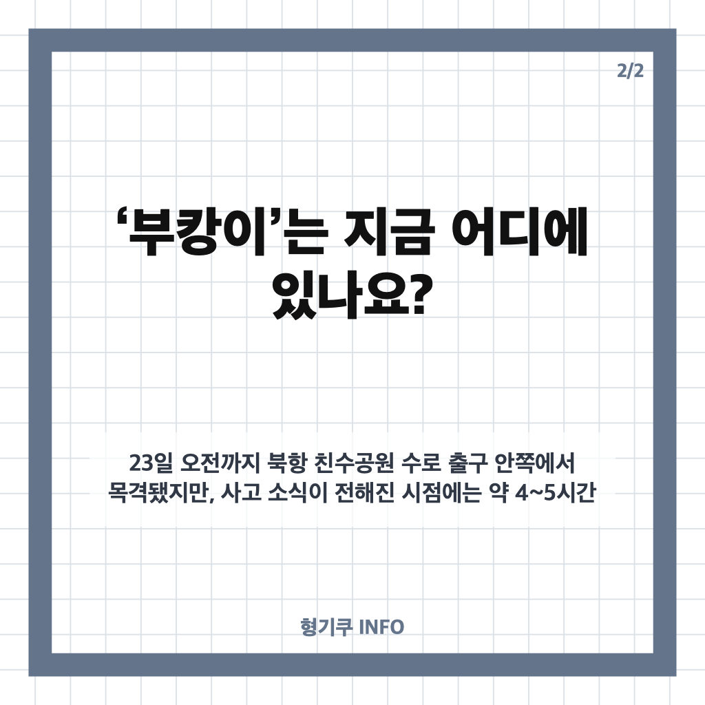 부산 북항 기름유출 5시간째, &lsquo;부캉이&rsquo;는 어디에? 현장 상황 정리 카드뉴스 3