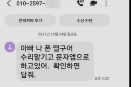 보이스피싱 시티즌코난 금감원 지킴이