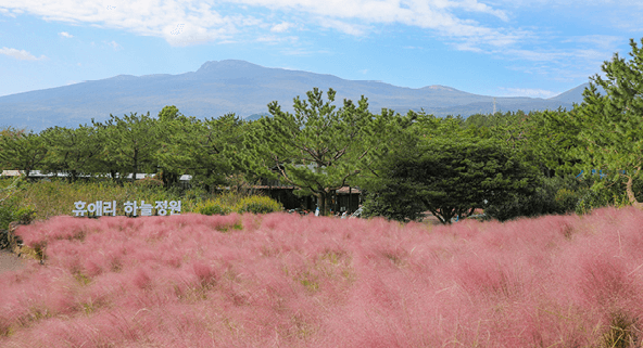 휴애리 자연생활공원 &ndash; 사계절 축제가 열리는 자연 공원