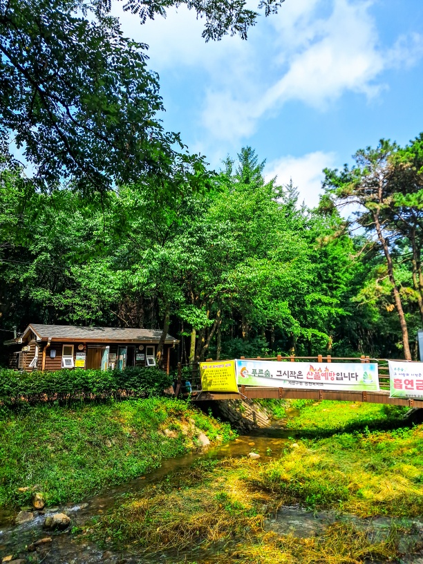 인천계양산 목상동솔밭계곡