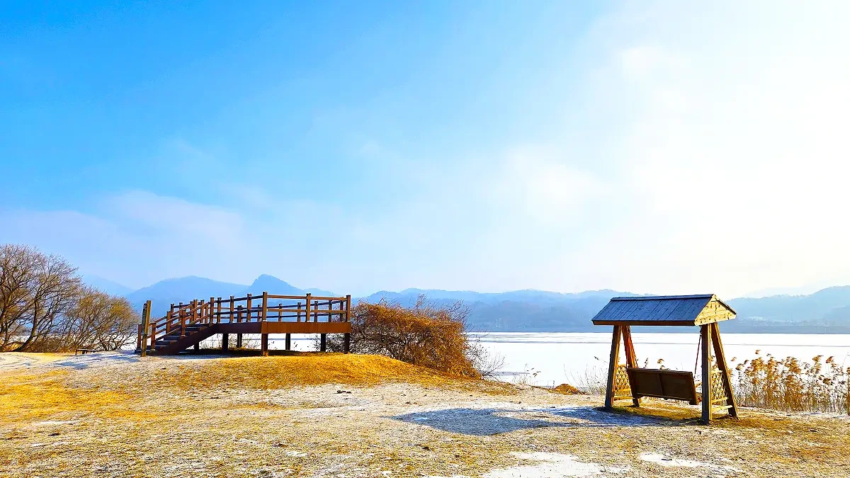남양주 반려견 겨울 나들이 명소, 강아지와 함께 산책하기 좋은 곳 추천
