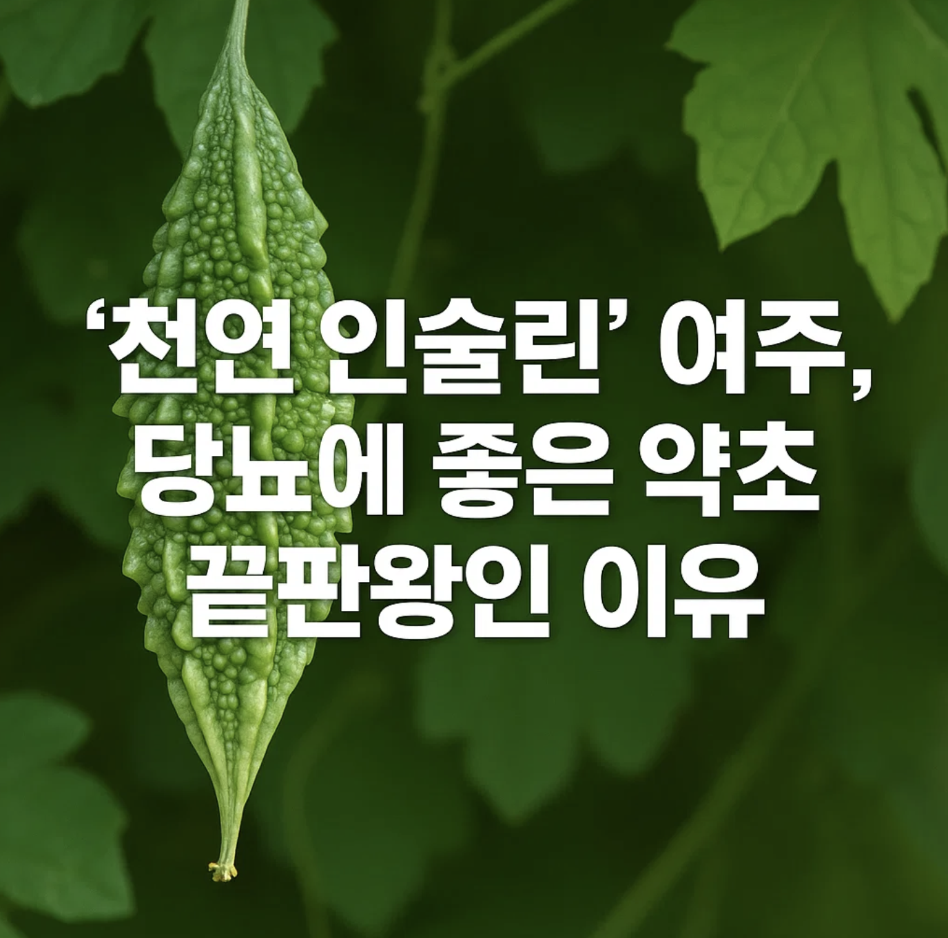 술은 마시지만 살은 빼고 싶다면? 최고의 안주와 술배빼는법
