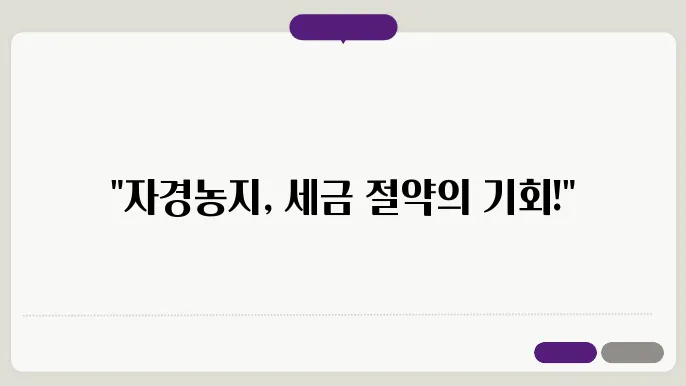 자경농지 보호 정책
