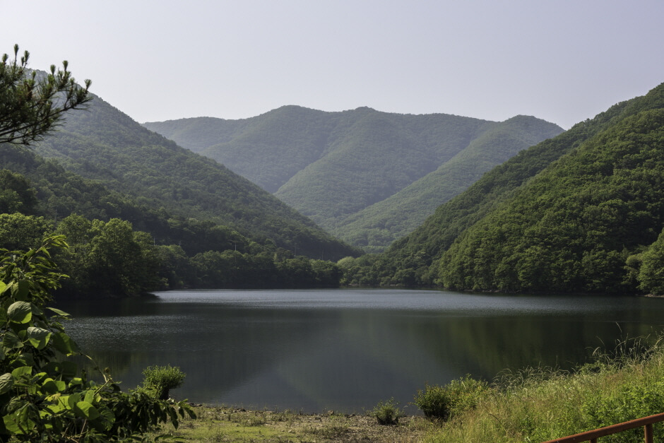 칠곡 가볼만한곳 베스트 10