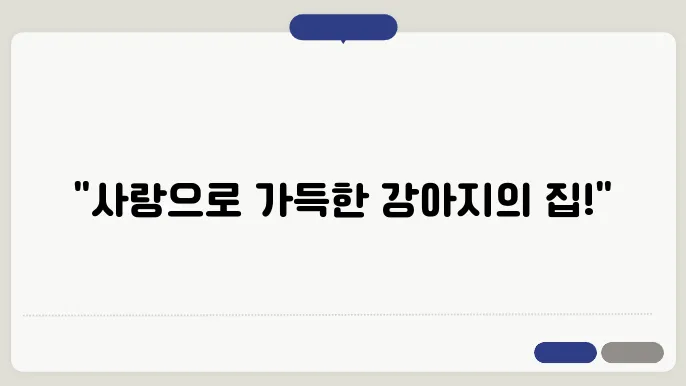 보호소의 전문적인 관리