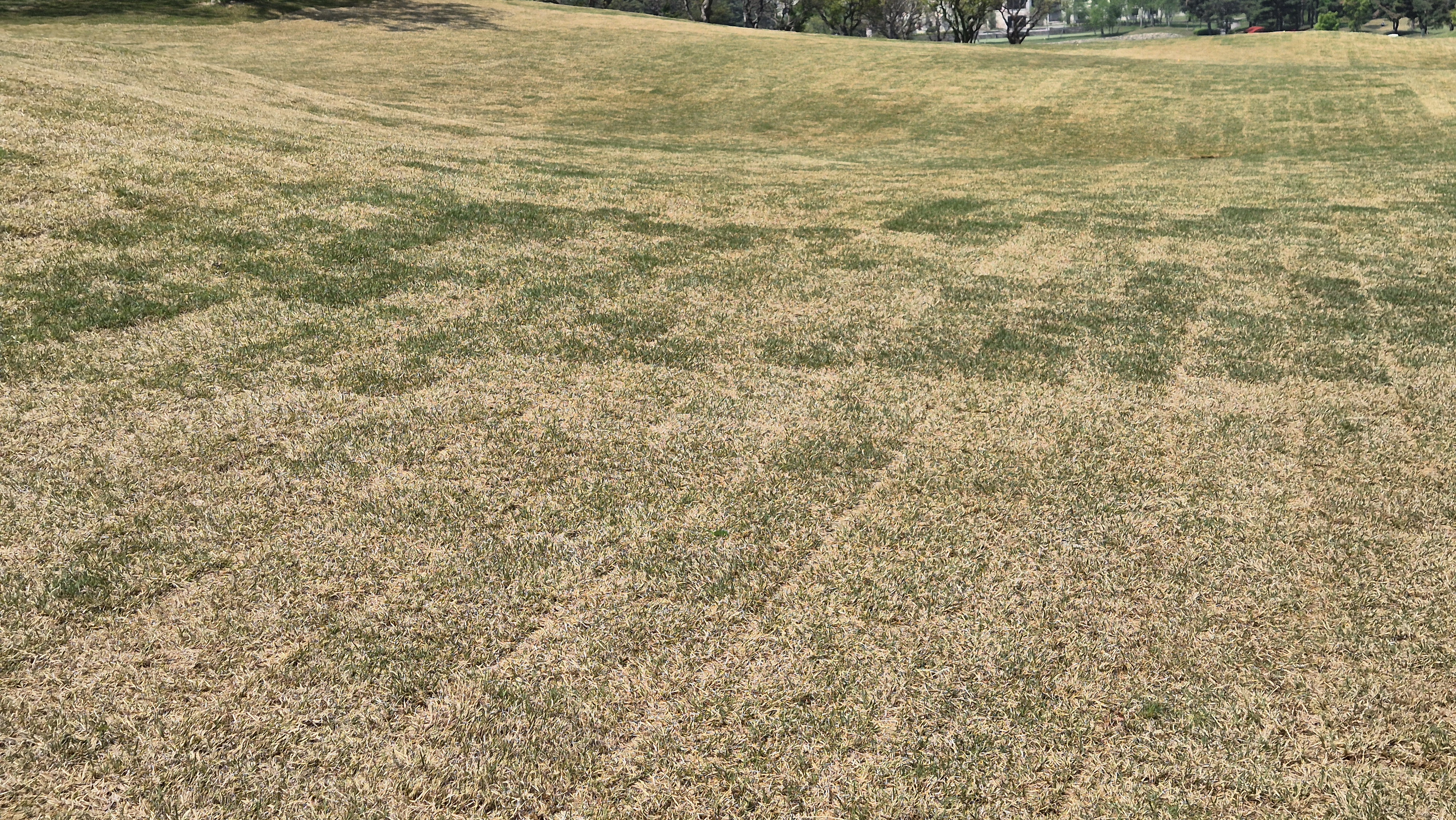 마에스트로cc 라운드 후기