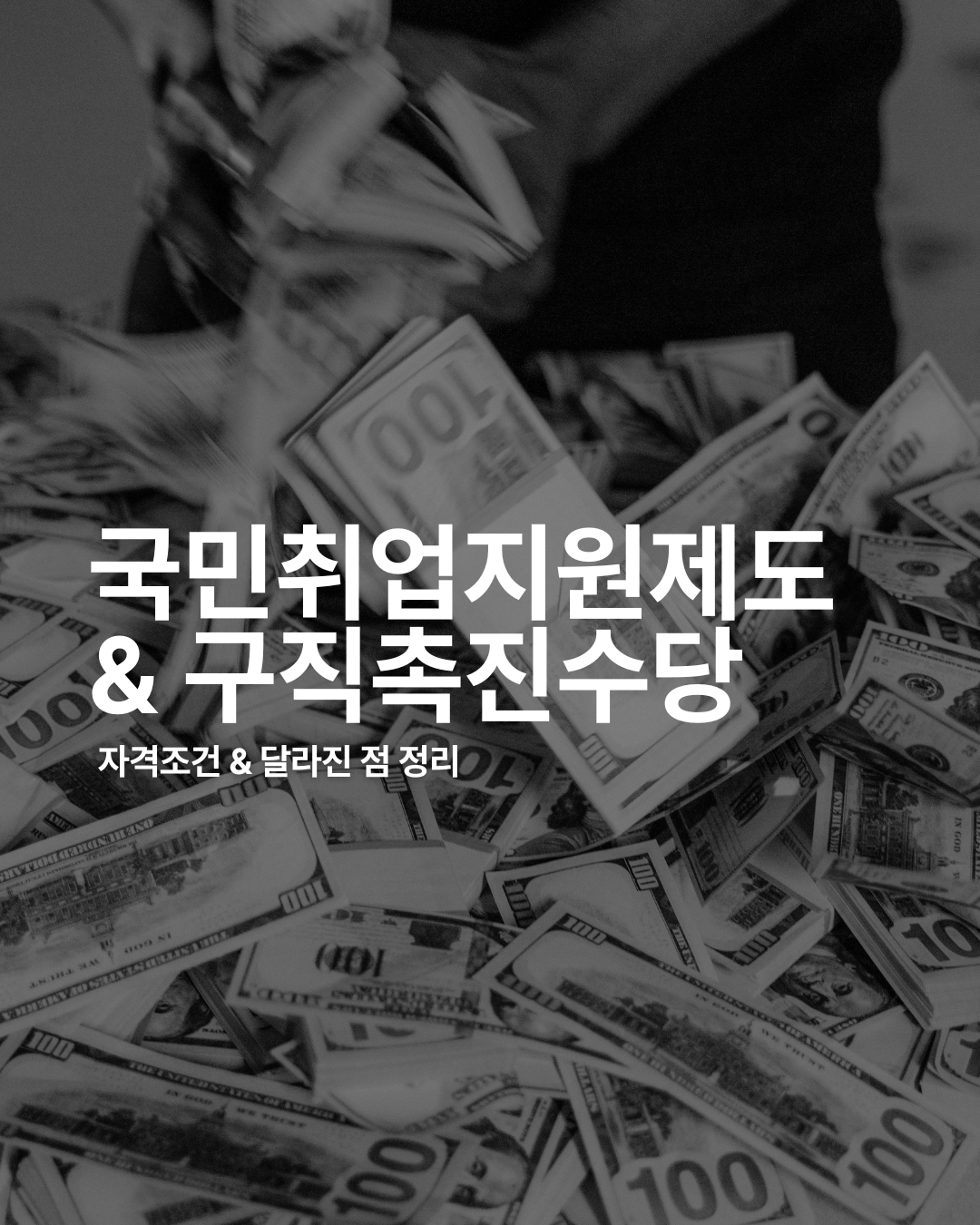 2026년 국민취업지원제도 자격 조건 및 구직촉진수당 정리