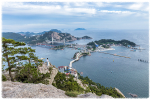 대장도