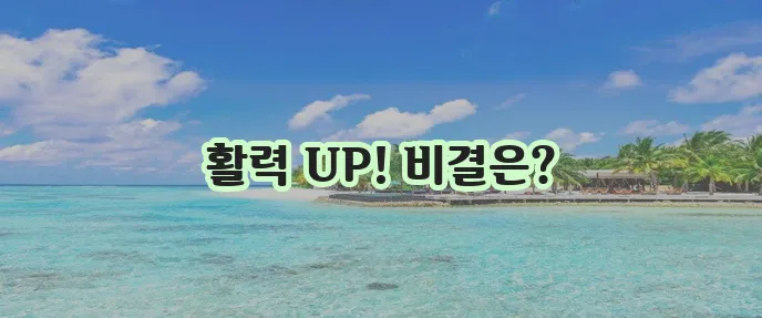 건강한 식단과 운동 에너지 UP 스트레스는 확실히 DOWN