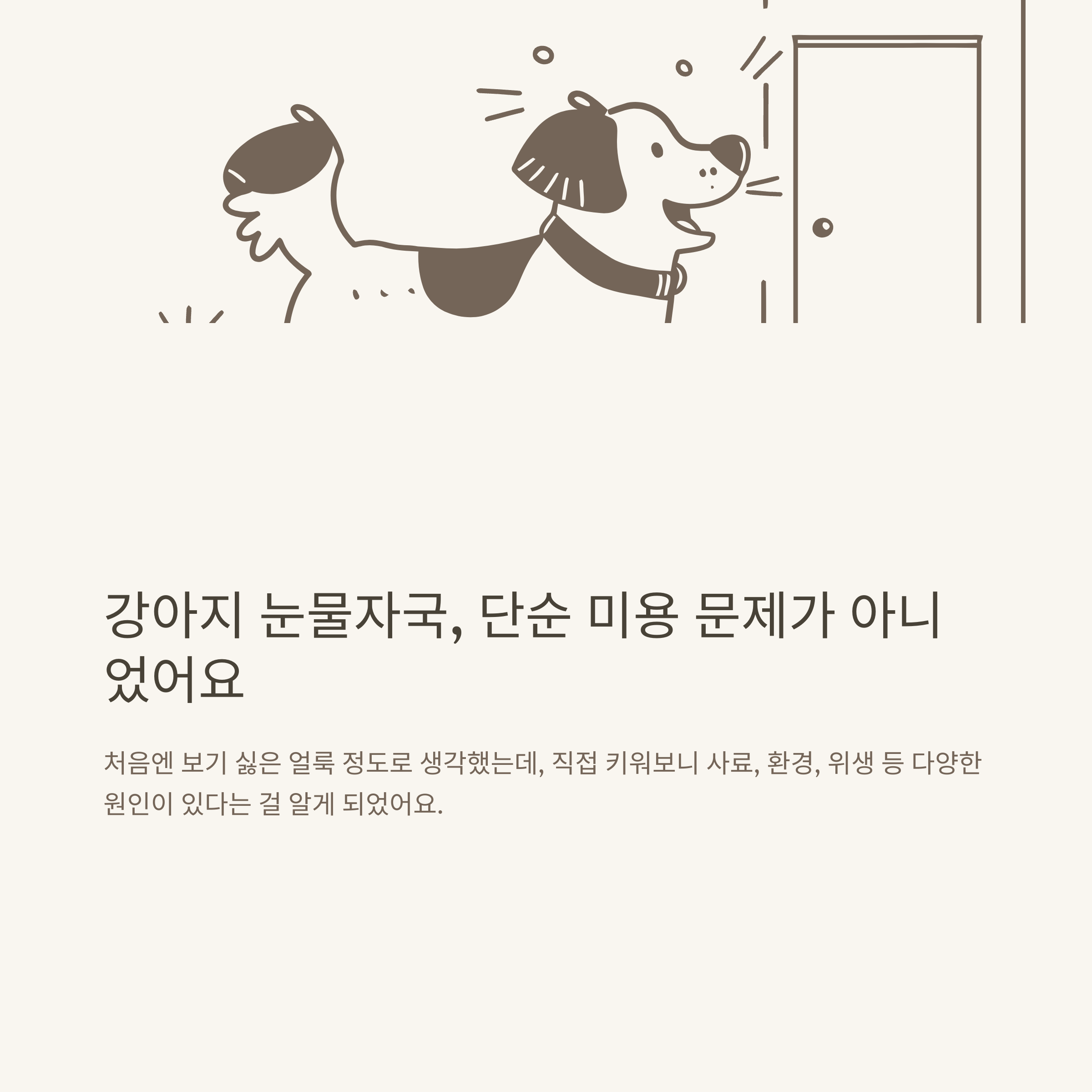 강아지 눈물자국, 원인부터 사료&middot;세정제&middot;영양제&middot;지우기까지 직접 키우며 정리