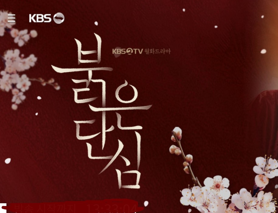 붉은단심