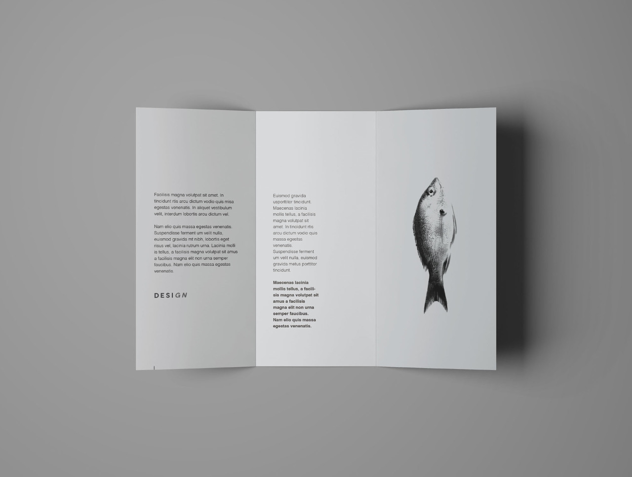 Free Advanced Trifold Brochure Mockup – 7 Angles