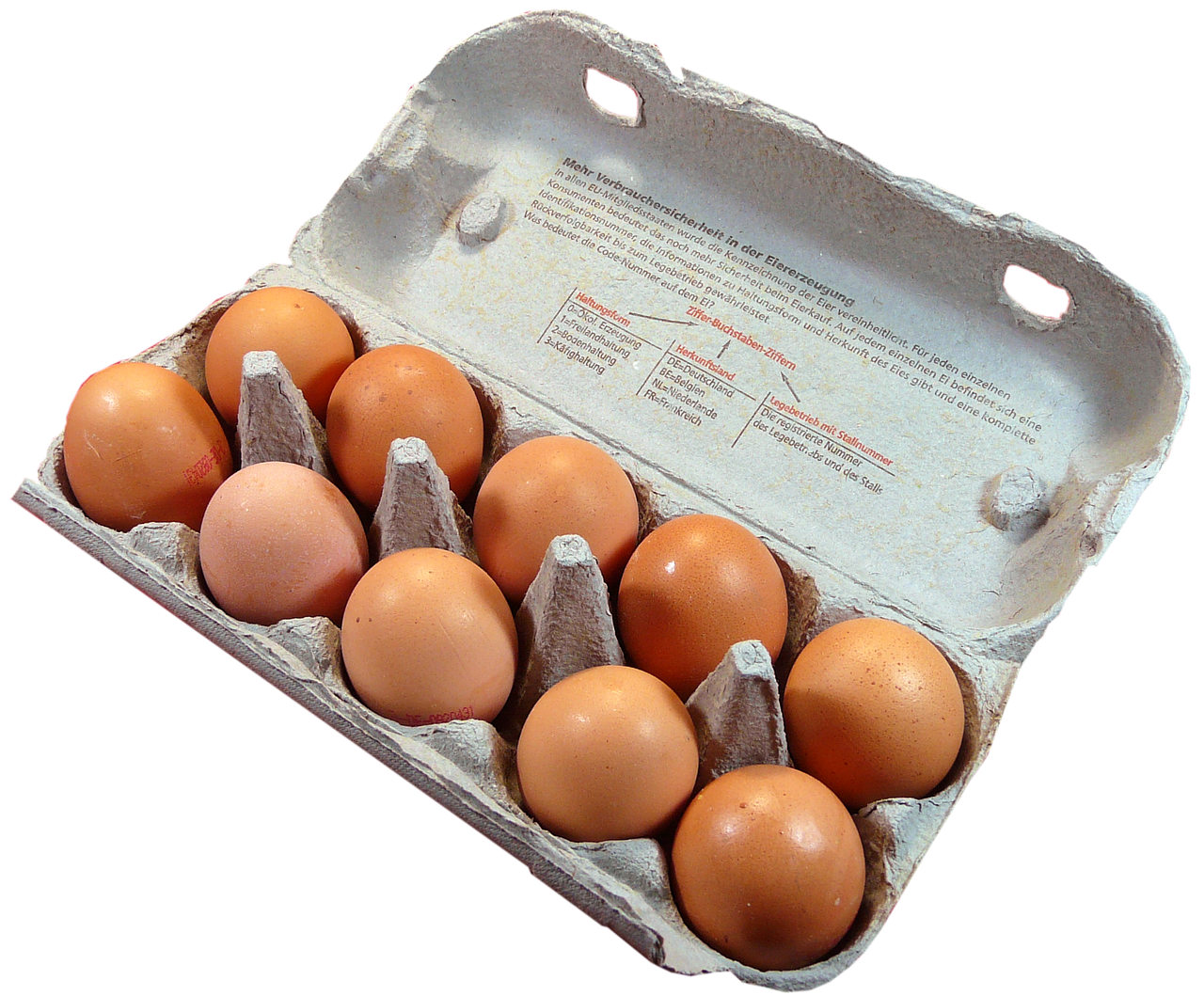 계란 효능 관련 사진