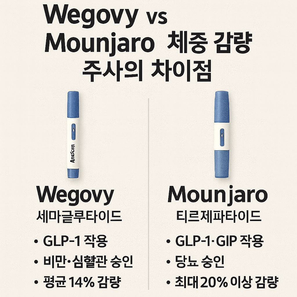 위비고와 마운자로 어떻게 다른가?