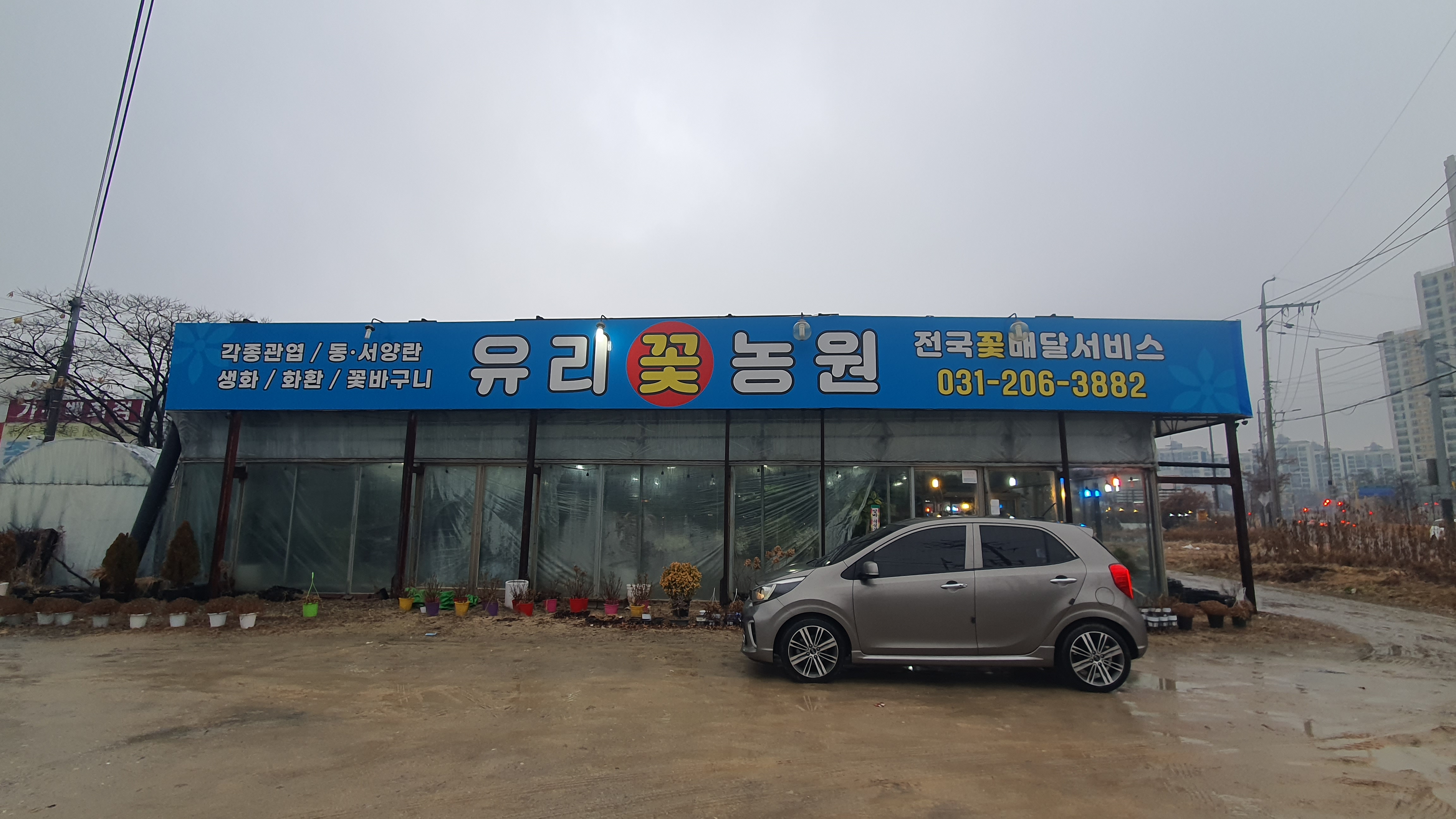 동탄 화훼단지 유리꽃농원