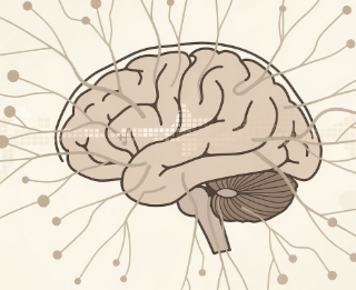 피부가려움증의 원인