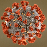 입술에 물집이 생기는 이유