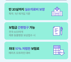 메리츠화재 펫퍼민트